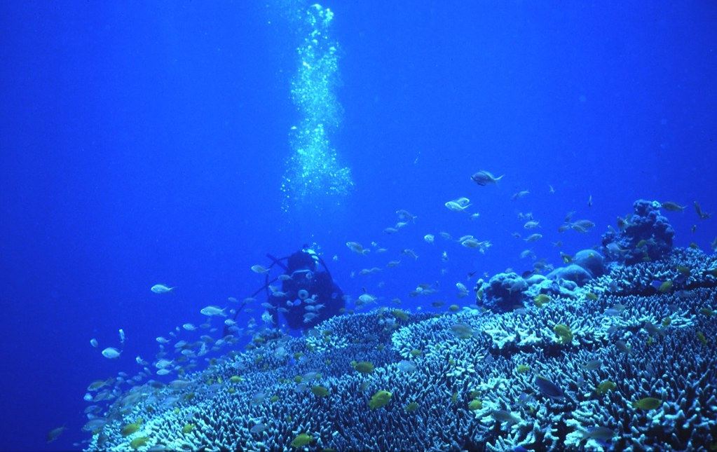 Buceo y snorkel