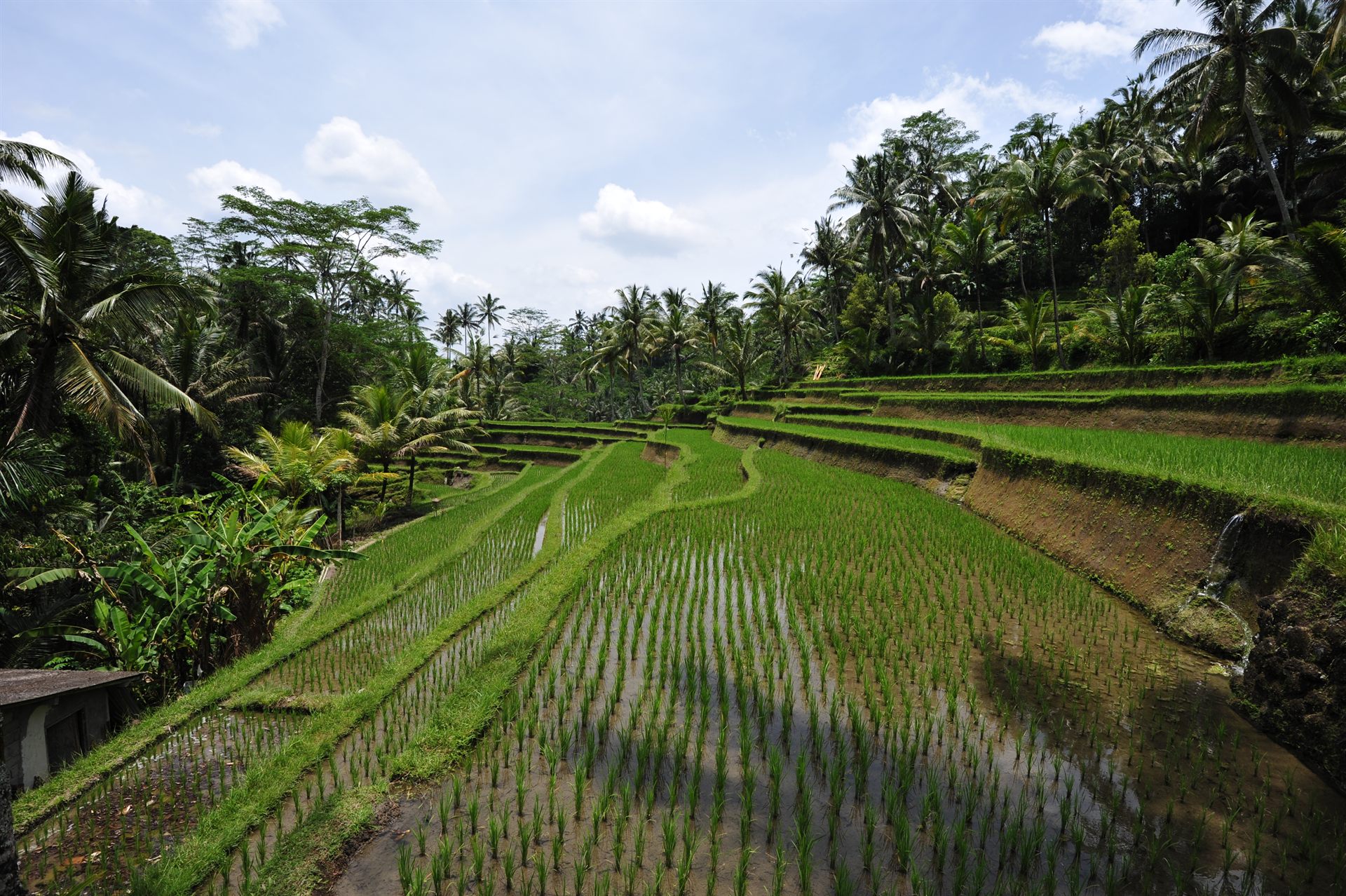 Indonesia