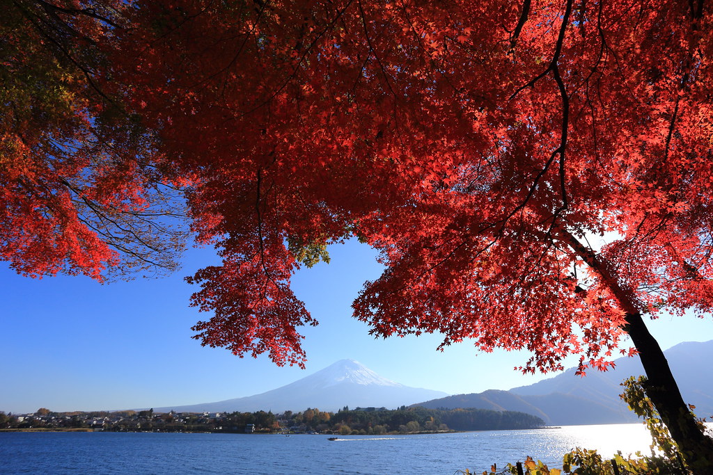 Monte Fuji