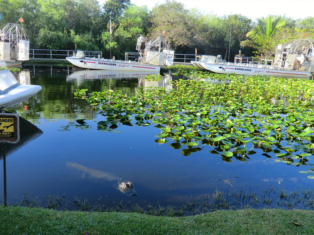 Everglades