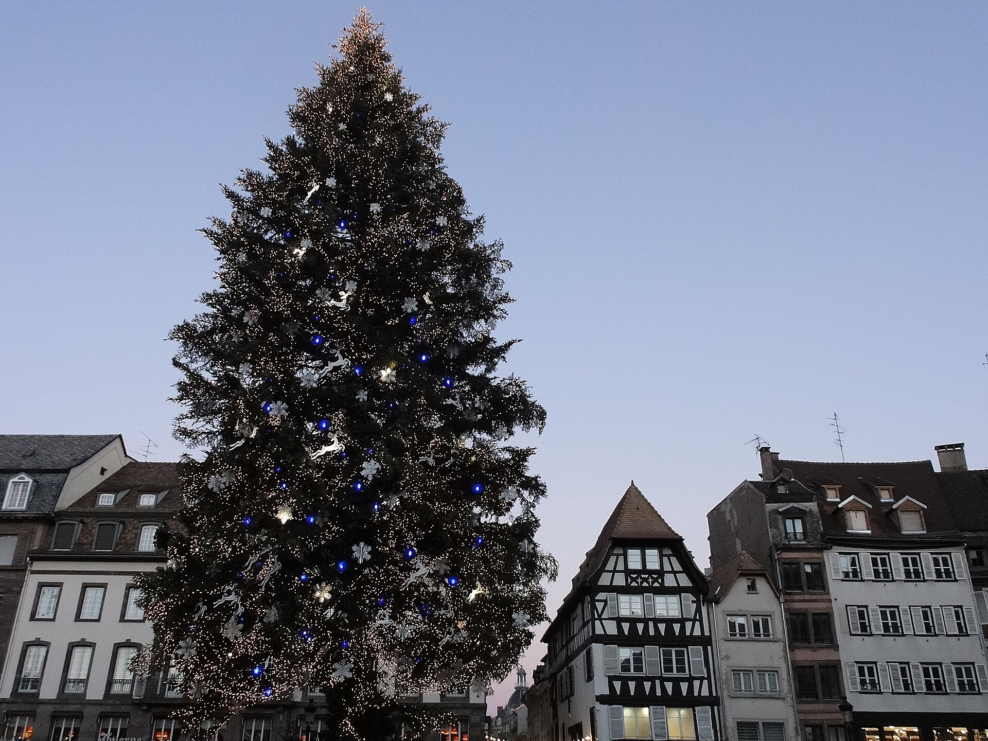 Gran árbol de Navidad de la plaza Kléber, Estrasburgo