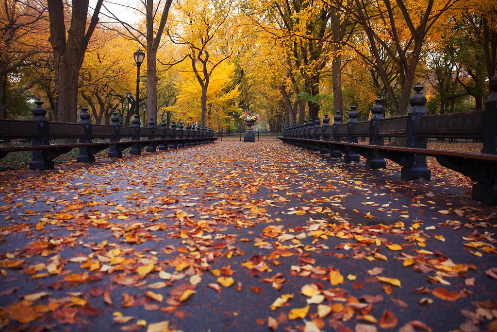 Central Park en otoño