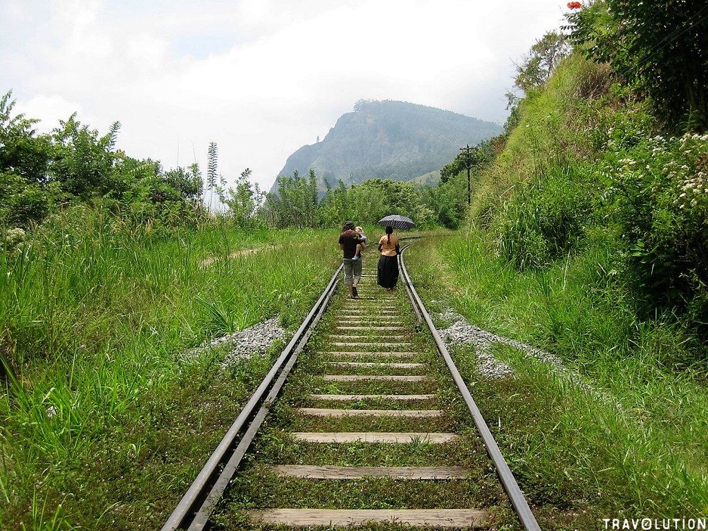 Tren a Ella