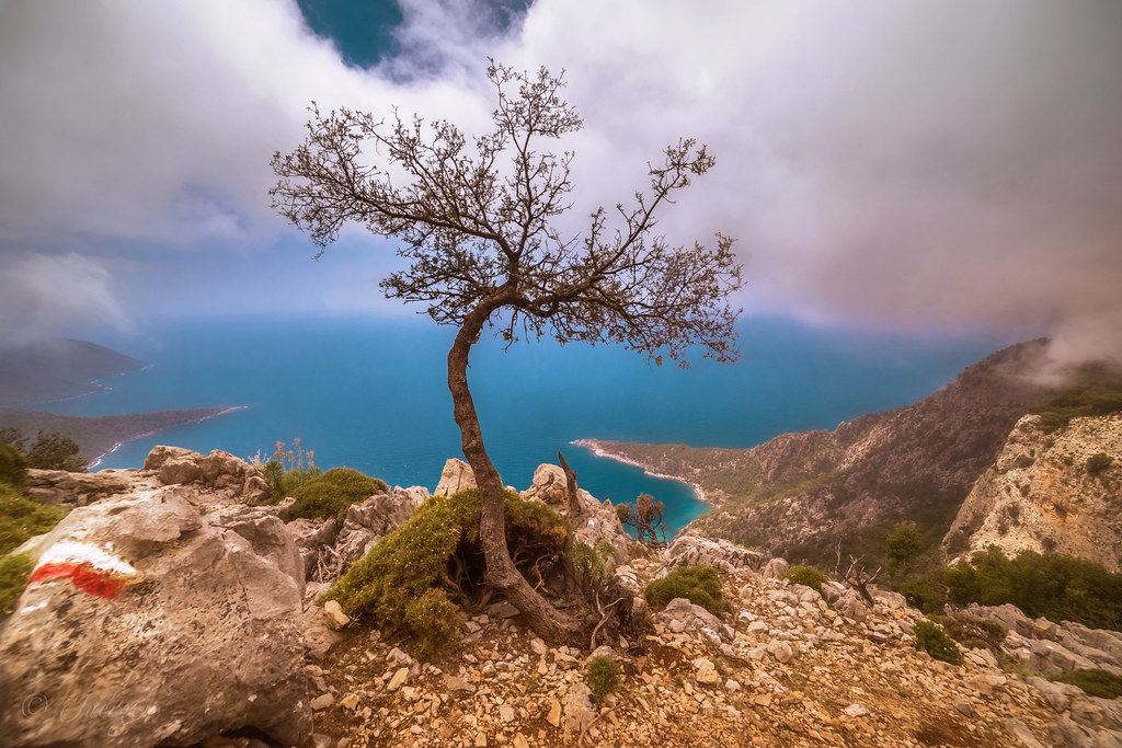La costa turquesa