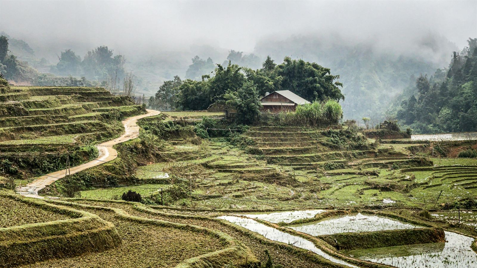 Terrazas de arroz de Sapa
